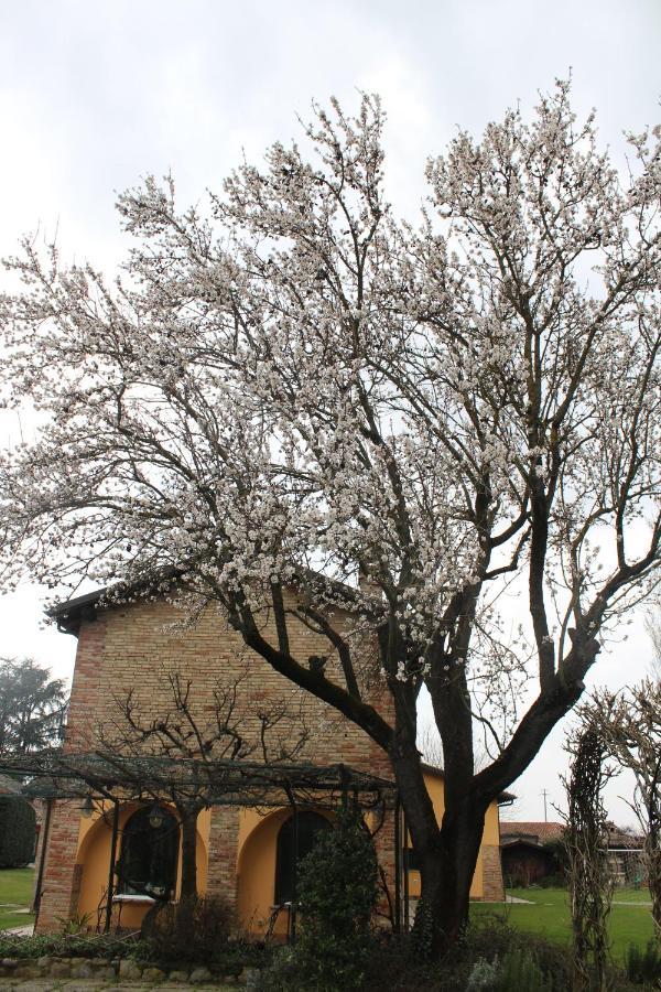 La Trunera Guest House Alessandria Ngoại thất bức ảnh